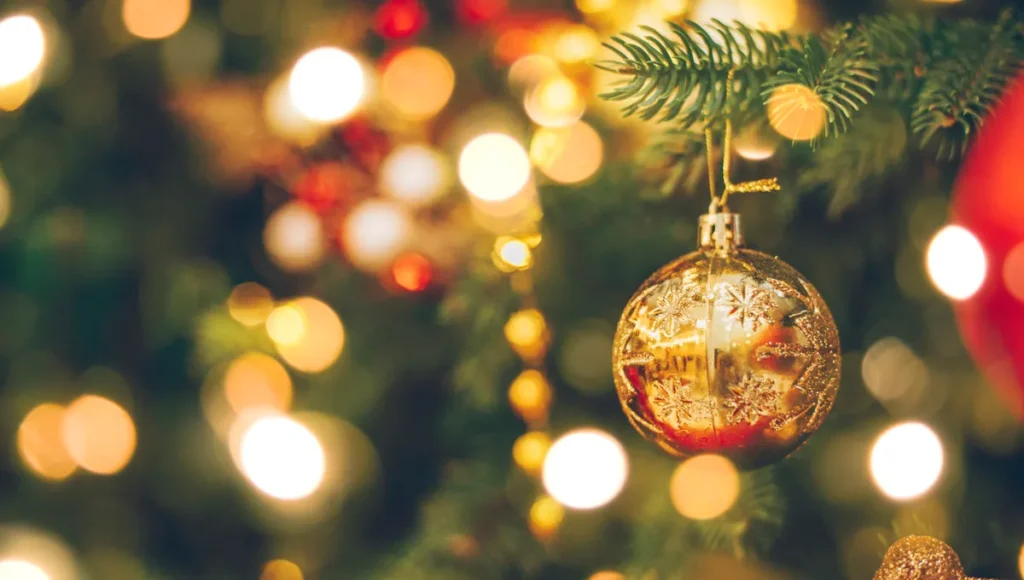 noel bormes les mimosas